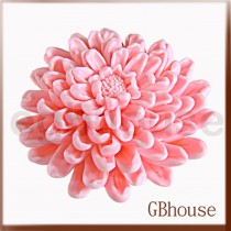 Garden Chrysanthemum